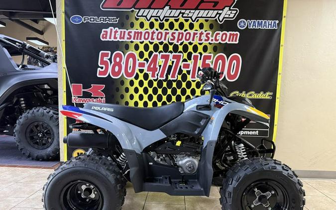 2025 Polaris Phoenix 200