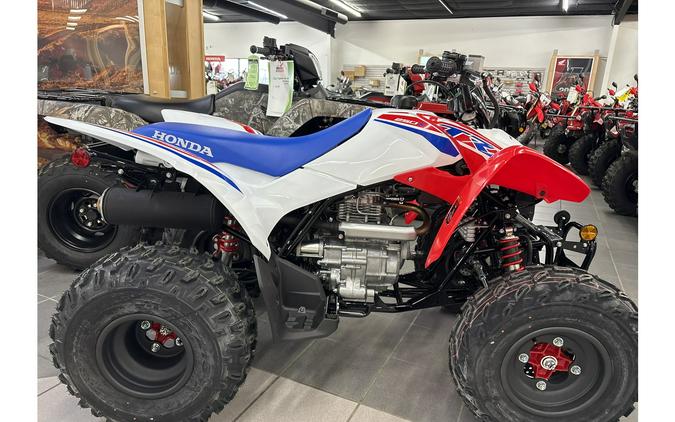 2026 Honda TRX250X