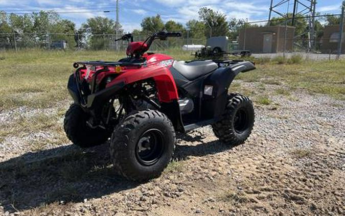 2025 Yamaha Grizzly 110