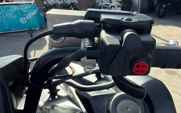 2026 Yamaha Grizzly EPS XT-R