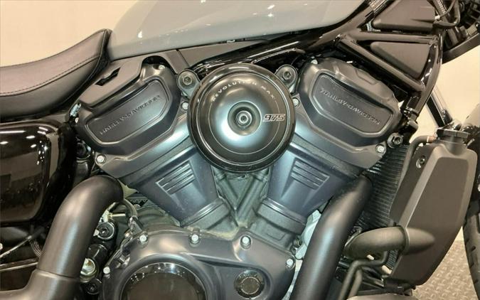 2025 Harley-Davidson Nightster Billiard Gray RH975