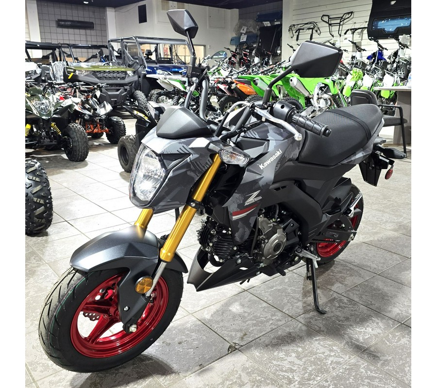 2024 Kawasaki Z125 Pro