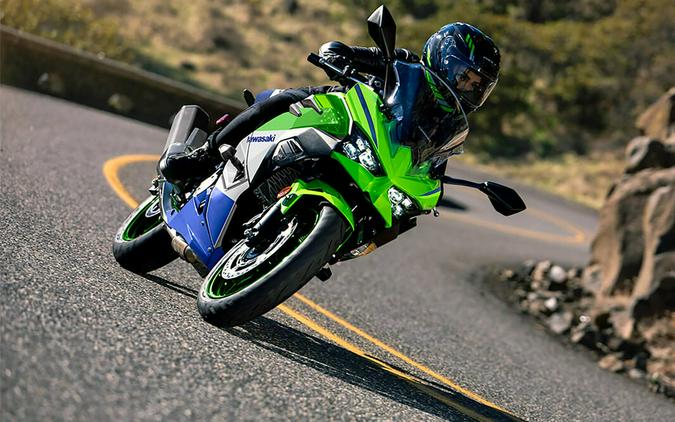 2024 Kawasaki Ninja® 500 SE 40th Anniversary Edition ABS