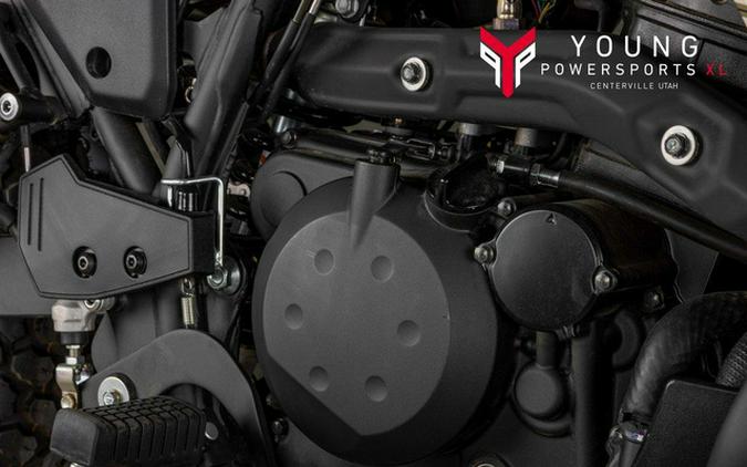 2026 Kawasaki KLR650 Adventure ABS Cypher Camo Beige