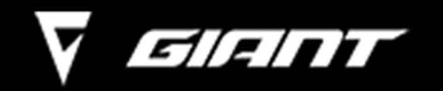 2021 Kawasaki Z400 ABS