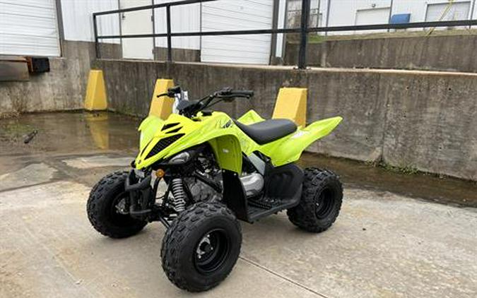 2026 Yamaha Raptor 110
