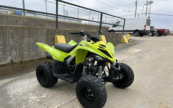 2026 Yamaha Raptor 110