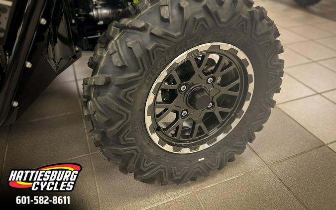 2025 Kawasaki Teryx4 S LE