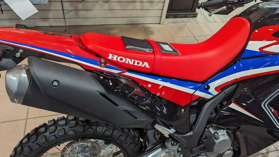 New 2024 HONDA CRF 300L RALLY