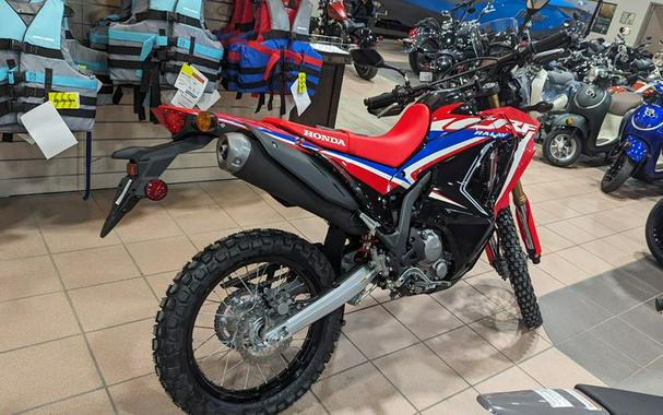 New 2024 HONDA CRF 300L RALLY