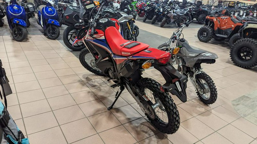 New 2024 HONDA CRF 300L RALLY