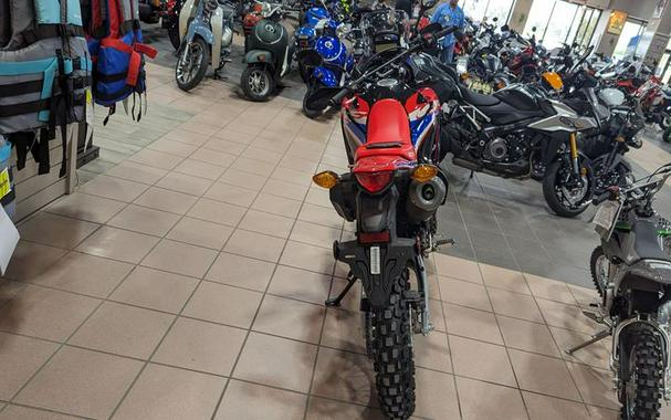 New 2024 HONDA CRF 300L RALLY