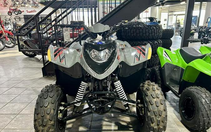 2024 Polaris® Phoenix 200