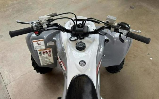 2026 Yamaha Raptor 700