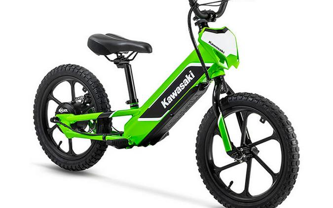 2023 Kawasaki Elektrode