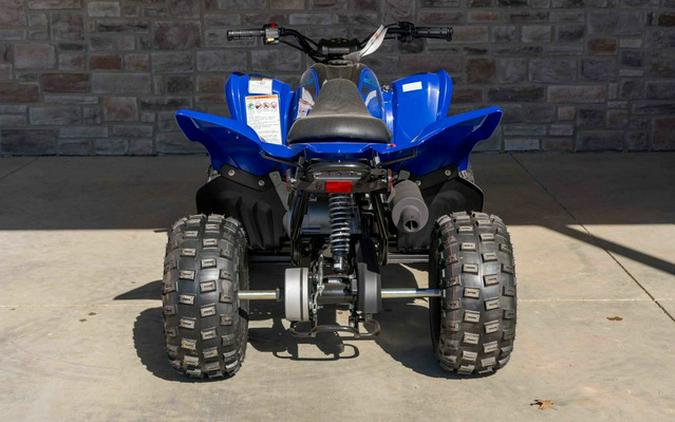 2024 Yamaha Raptor 110