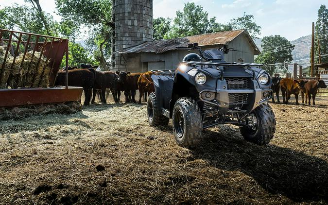 2024 Kawasaki Brute Force 300