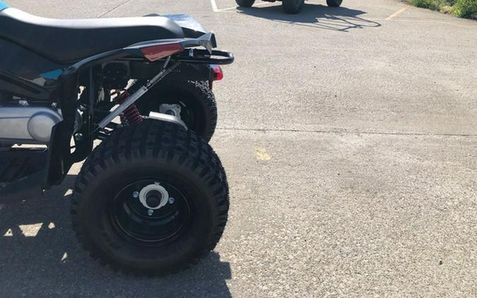 2026 Can-AM RENEGADE 110 EFI