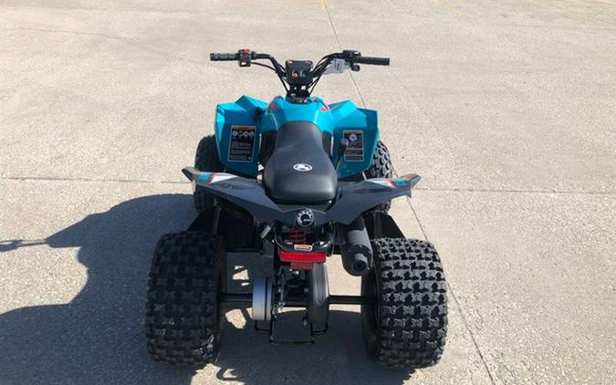 2026 Can-AM RENEGADE 110 EFI