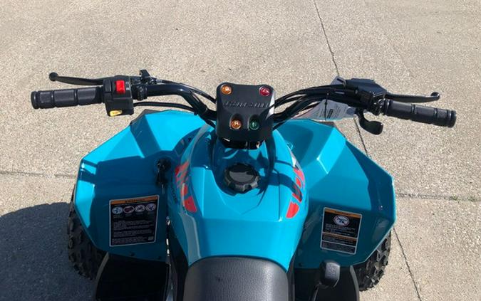 2026 Can-AM RENEGADE 110 EFI