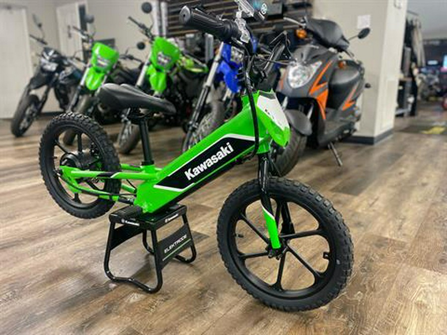 2023 Kawasaki Elektrode