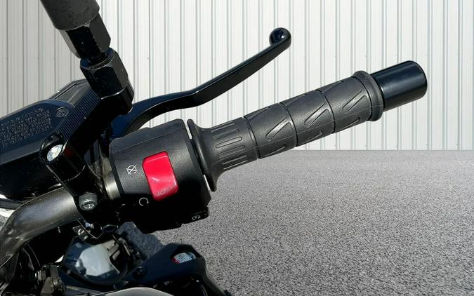 2024 Kawasaki ELIMINATOR