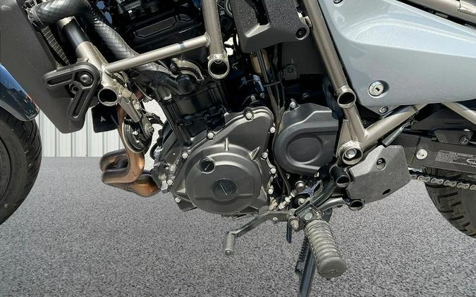 2024 Kawasaki ELIMINATOR