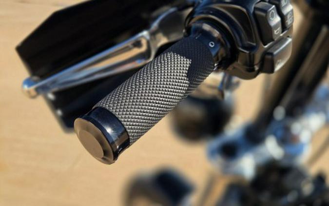 2017 Harley-Davidson Low Rider®