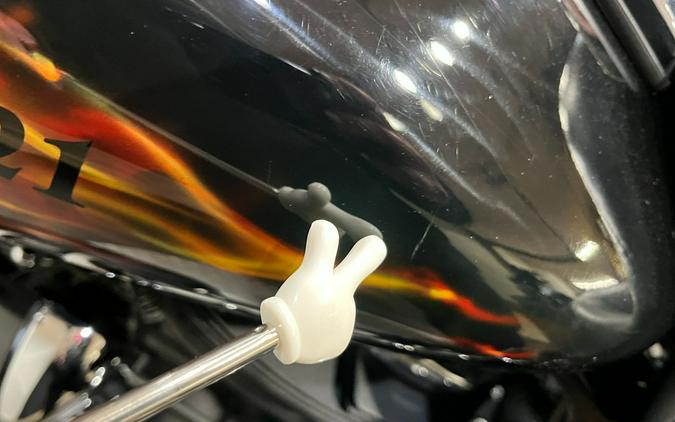 2017 Harley-Davidson Road Glide® Special