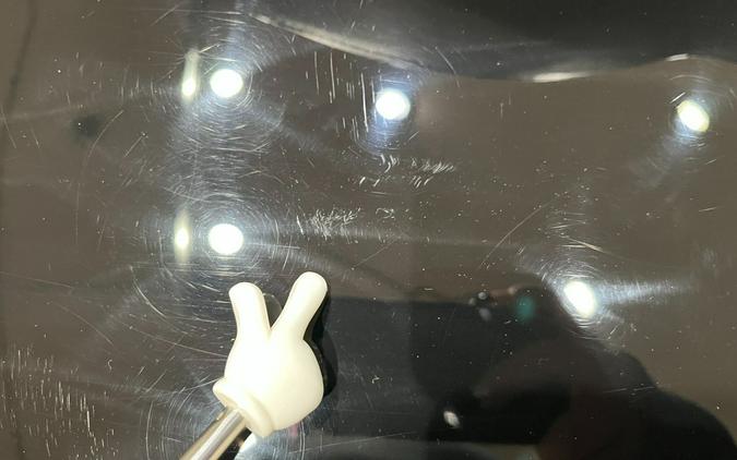 2017 Harley-Davidson Road Glide® Special