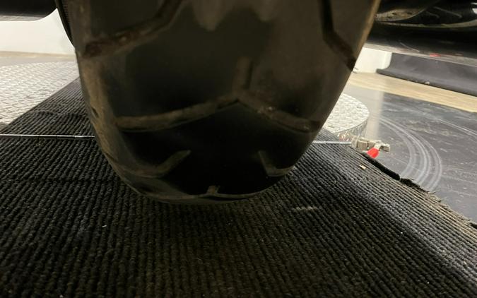 2017 Harley-Davidson Road Glide® Special