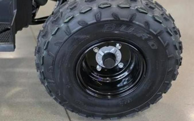 2026 Polaris Outlaw 110 EFI