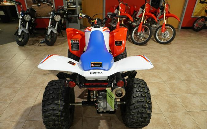 2026 TRX250XT - Honda