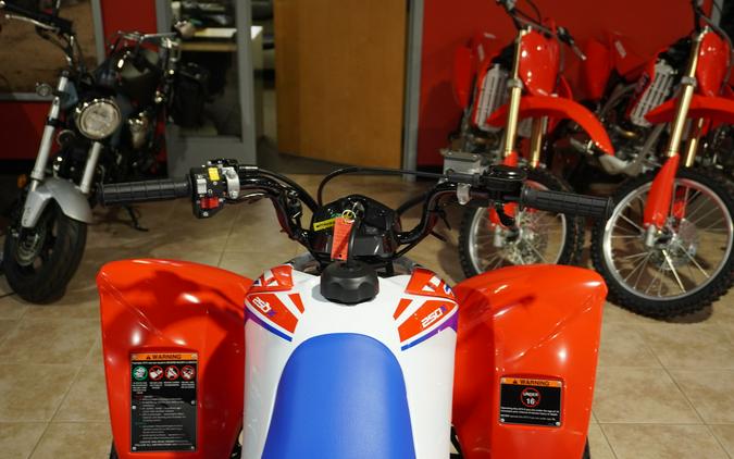 2026 TRX250XT - Honda