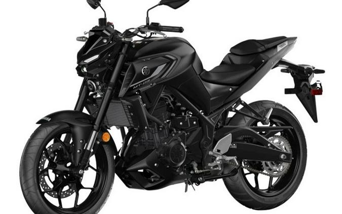 2024 Yamaha MT-03