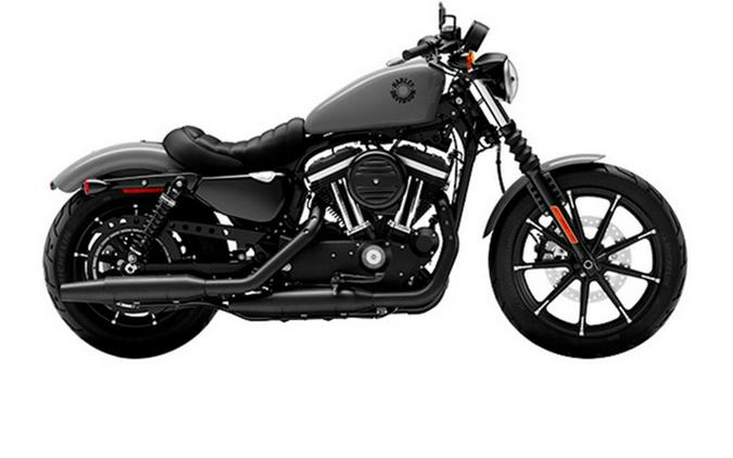 2022 Harley-Davidson XL883N - Iron 883