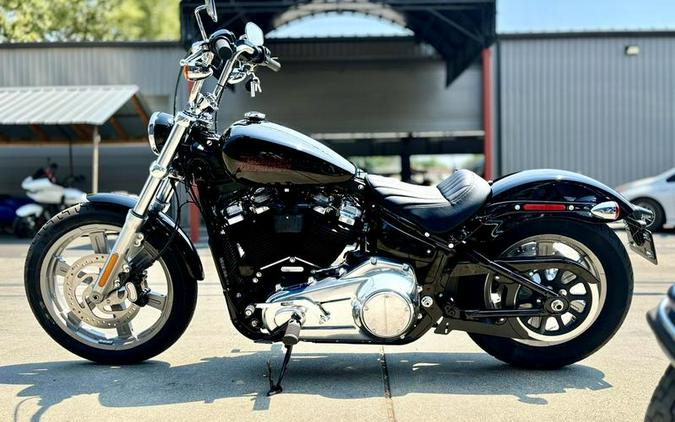 2024 Harley-Davidson® FXST - Softail® Standard