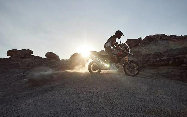 2025 Triumph Tiger 900 Rally Pro