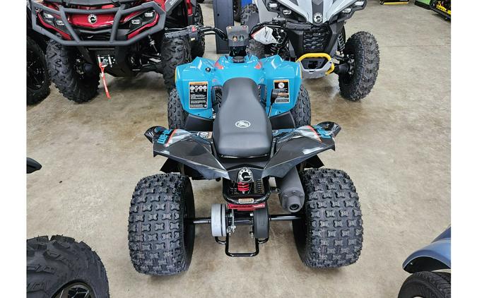 2025 Can-Am RENEGADE 110 EFI