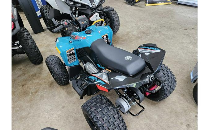 2025 Can-Am RENEGADE 110 EFI