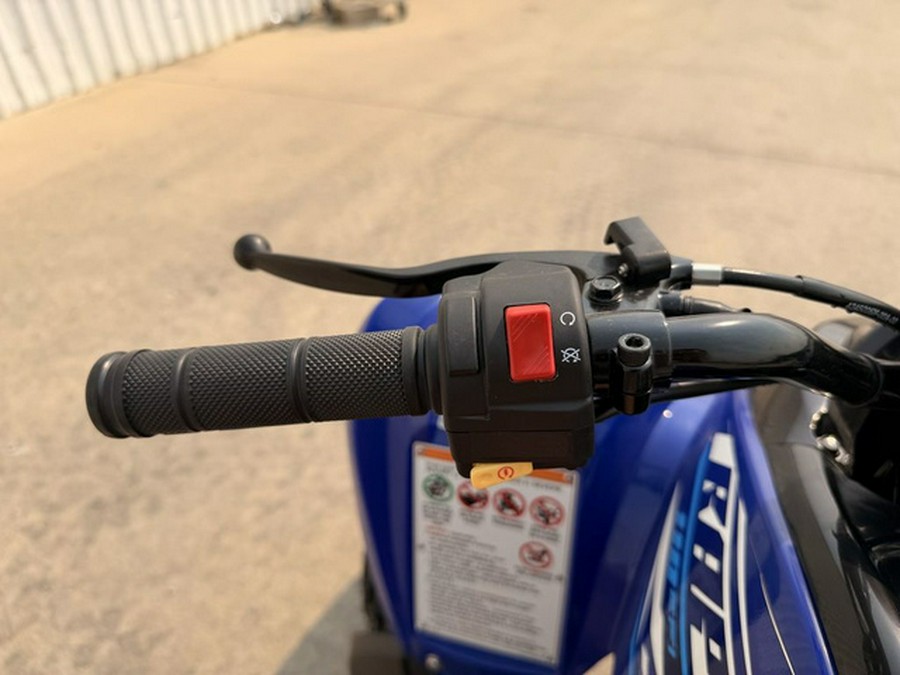 2026 Yamaha Raptor 110