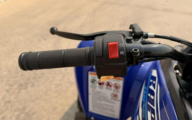 2026 Yamaha Raptor 110