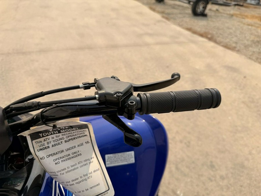 2026 Yamaha Raptor 110