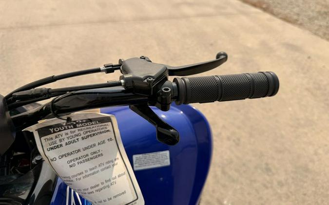 2026 Yamaha Raptor 110