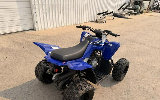 2026 Yamaha Raptor 110