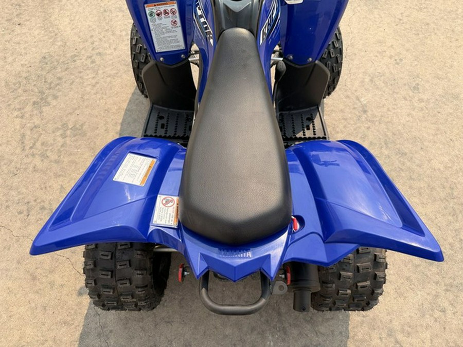2026 Yamaha Raptor 110