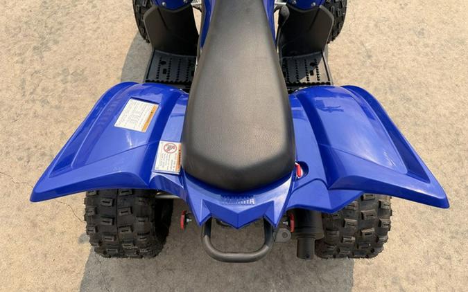 2026 Yamaha Raptor 110