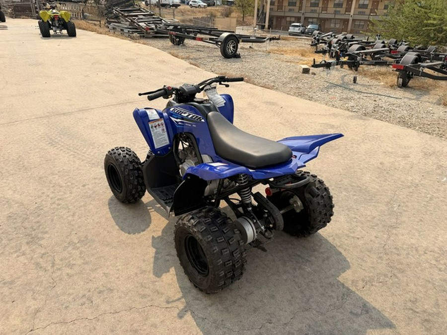 2026 Yamaha Raptor 110