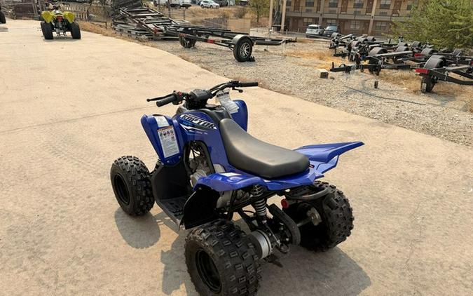 2026 Yamaha Raptor 110