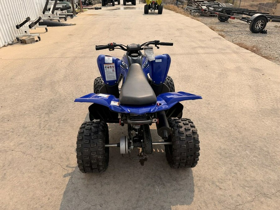 2026 Yamaha Raptor 110